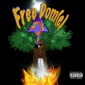 FreeDome Wave 1 (Explicit)