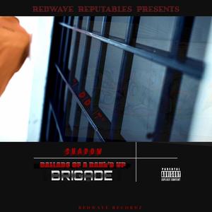 I DID IT (feat. SHADOW) (Explicit)