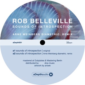Sounds Of Introspection (Original Mix)