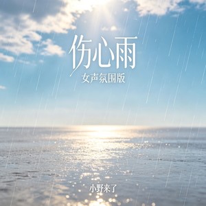 伤心雨 (女声氛围版)封面