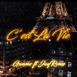 C'est La Vie (feat. FromJerome) [Explicit]