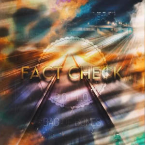 Fact Check (feat. Bag of Bones)