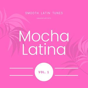 Mocha Latina (Smooth Latin Tunes) , Vol. 1 [Explicit]