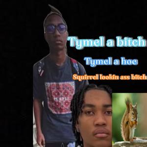 Tymel diss (REUPLOAED) (feat. Payrolljay) (Explicit)