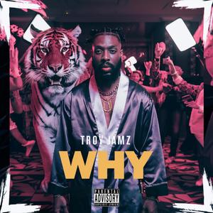 WHY (feat. Bank Bunz) [Explicit]