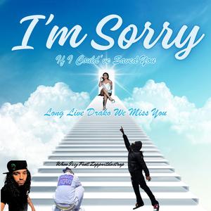 Im Sorry (feat. Zappwitdastrap)