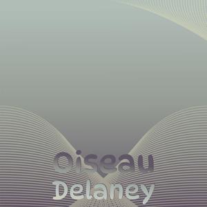 Oiseau Delaney