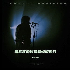 羞答答的玫瑰静悄悄地开