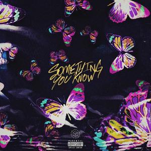 Something You Know (Explicit)