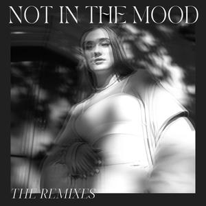 Not In The Mood (The Remixes)