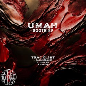 EPMAU24 - Roots