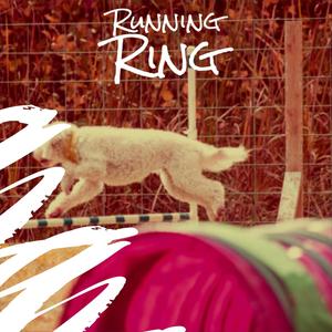 Running Ring