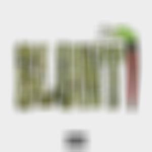 Blunt! (feat. Little Boss) (Explicit)