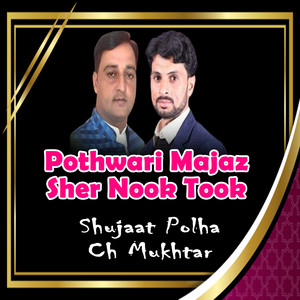 Pothwari Majaz Sher Nook Took