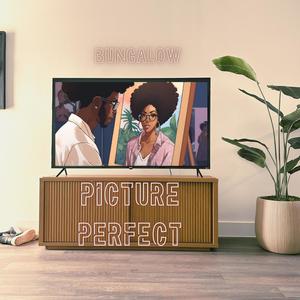 Picture Perfect (Explicit)