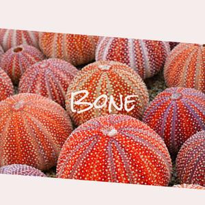 Bone