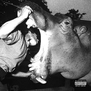 Hippo (Explicit)
