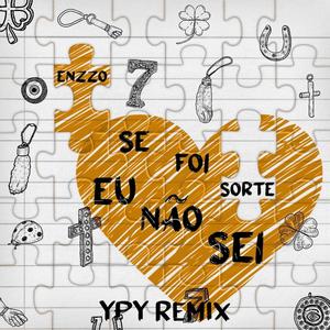 Se Foi Sorte Eu Não Sei (Ypy Remix)