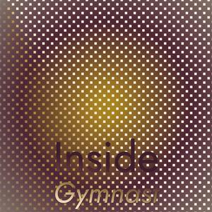 Inside Gymnast