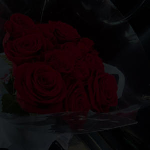 First Sight (Explicit)