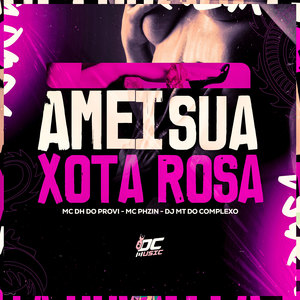 Amei Sua Xota Rosa (Explicit)