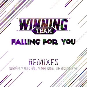 Falling for You (Remixes)