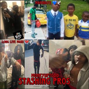 Stashing Pros (Explicit)