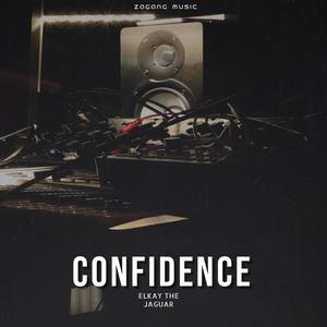 Confidence (Explicit)