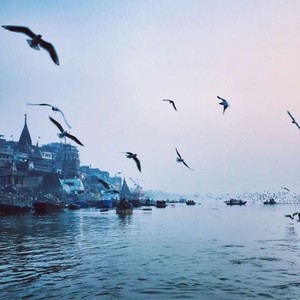 那些你很冒险的梦