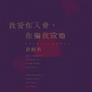 我爱你入骨，你骗我成瘾封面