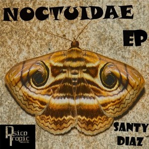 Noctuidae (John Vertel Remix)