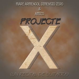 Projecte X