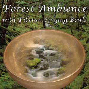 Forest Ambience with Tibetan Singing Bowls: Healing Nature Sounds for Relaxation, Massage Therapy, Sleeping, Reiki