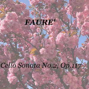 Cello Sonata No.2, Op.117 - Andante