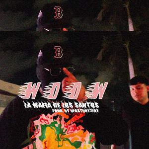 WOOW (feat. Shott) (Explicit)