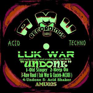 Acid Shaker (Original Mix)
