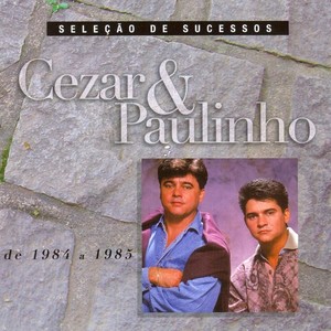 Seleção de Sucessos - 1984 / 1985