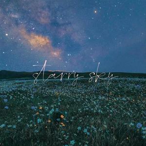 Starry Sky (prod by MEGA)