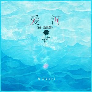 爱河 (DJ浩然版伴奏)