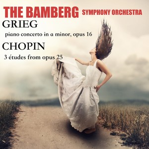 Greig: Piano Concerto in a Minor, Op. 16: I Allegro Moderato