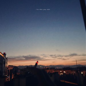 i'm like you left