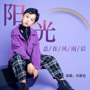 阳光总在风雨后
