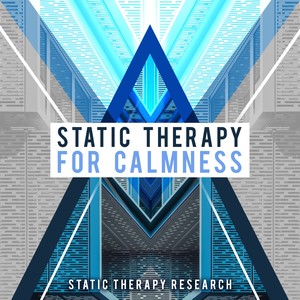 Static Therapy for Calmness