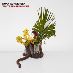 Noah Gunderson - SOME NIGHTS