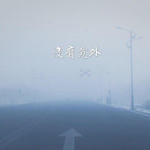 没有意外