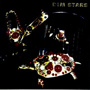 Dim Stars（黑胶版）