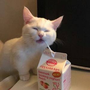 Chiwa - We could be Chiwa Edit