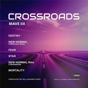 New Normal (feat. Billionaire Shed)