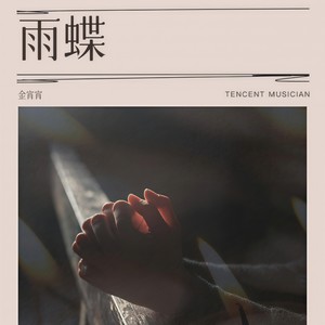 雨蝶 (爱到心破碎也别去怪谁)封面