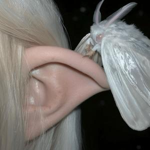 thorns (feat. ayce comet) (Explicit)